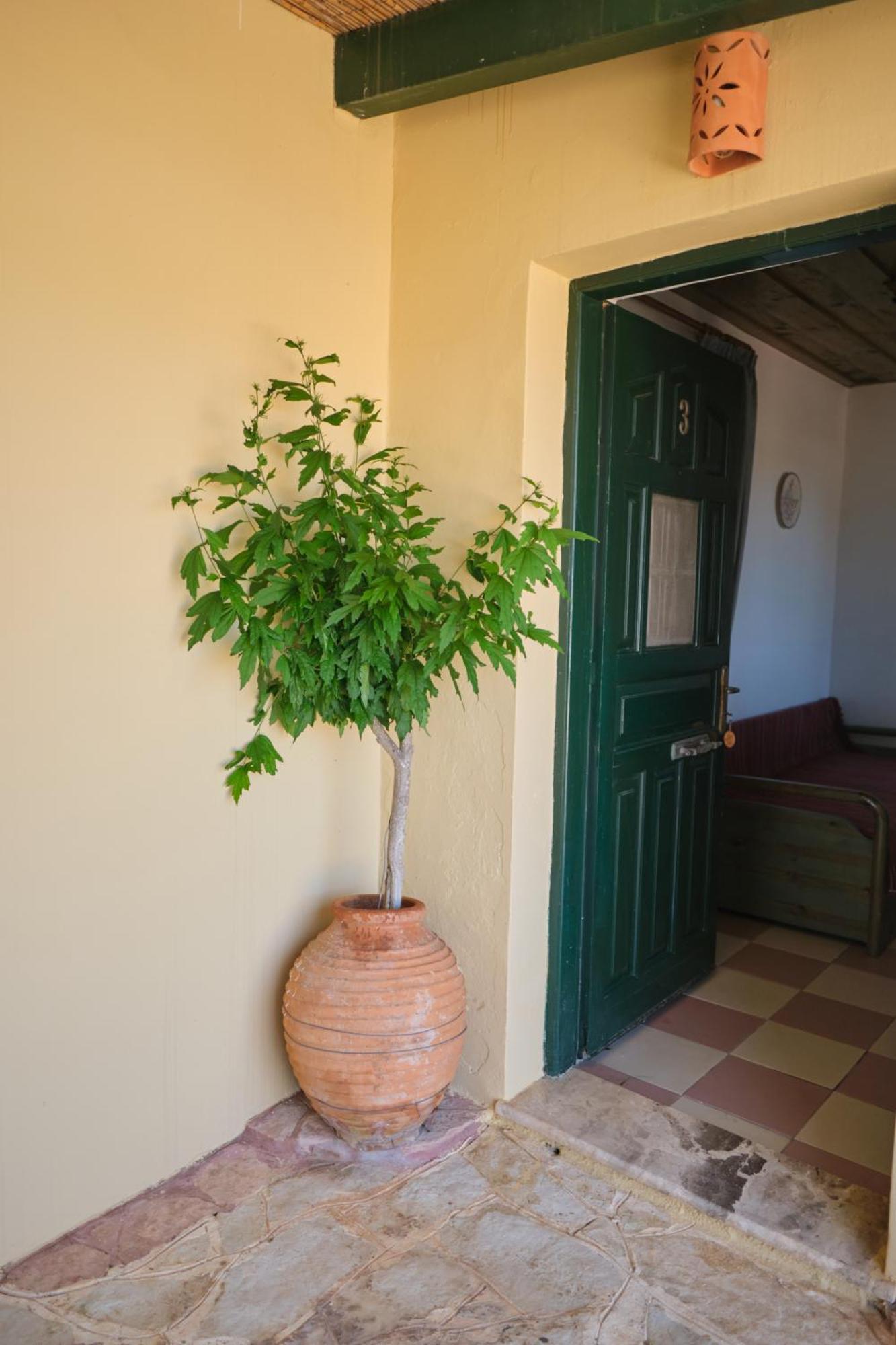 Koralia Apartments Kastrisianika Εξωτερικό φωτογραφία